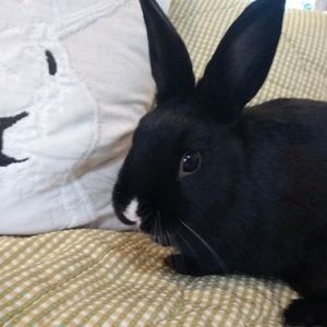 Meet your Posher, Earlyne